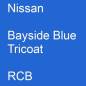 Preview: Nissan, Bayside Blue Tricoat, RCB.